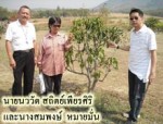 ใช้จุลินทรีย์จากธรรมชาติ ปรับสภาพแก้ปัญหา..