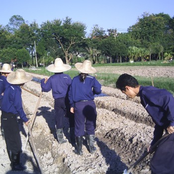 75 ปี แม่โจ้