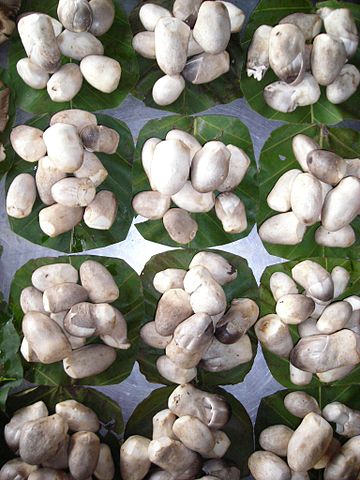 เก็บเห็ดฟาง