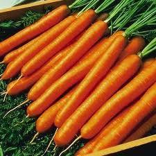 เบบี้แครอท (Baby Carrot) 